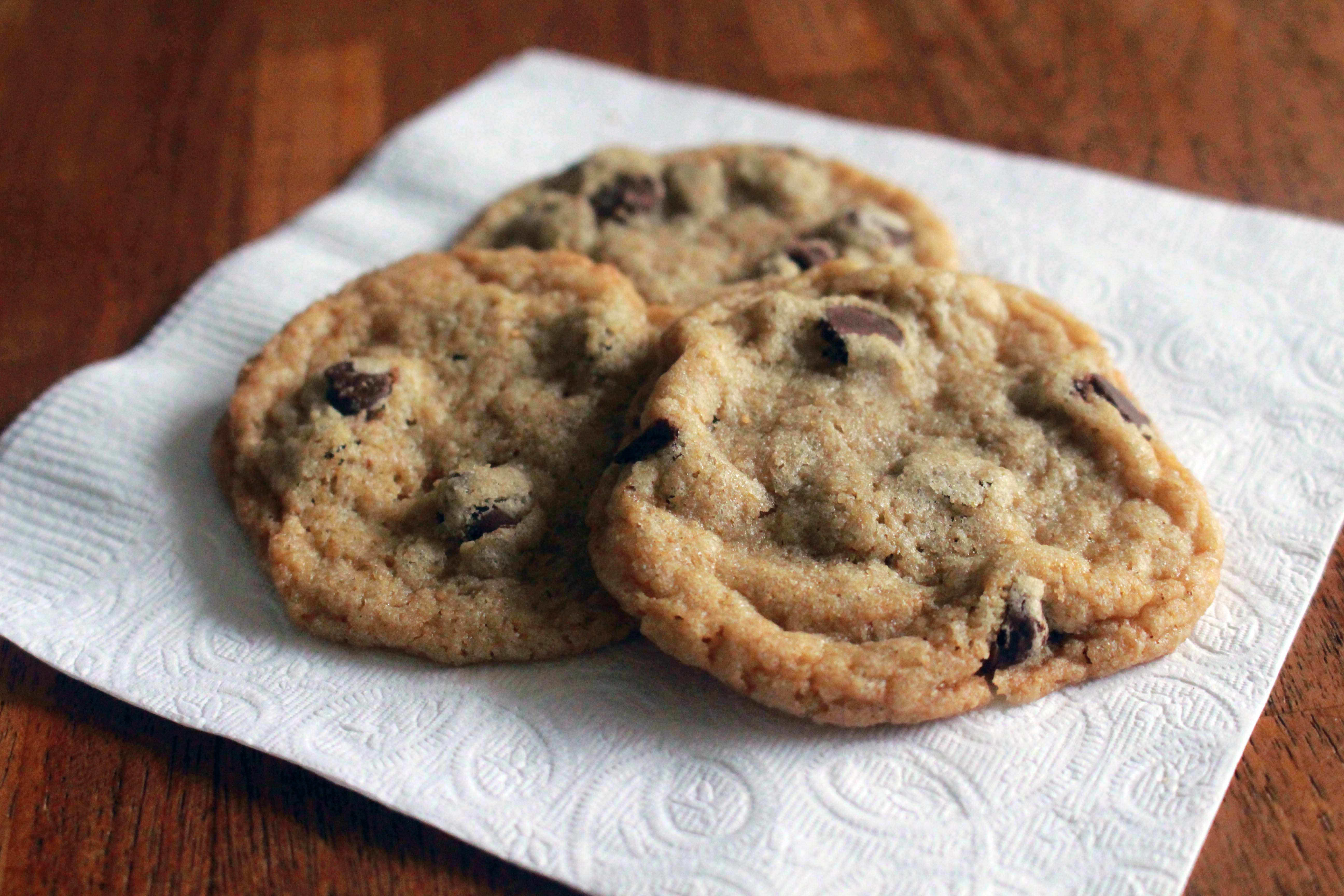 The Best Low FODMAP Chocolate Chip Cookies – Lauren Renlund MPH RD